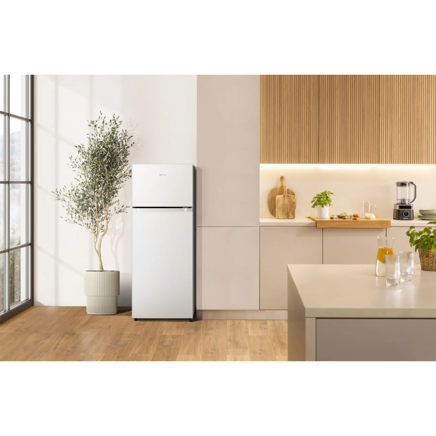 Холодильник Gorenje RF4142PW4, белый в TehnoAdept