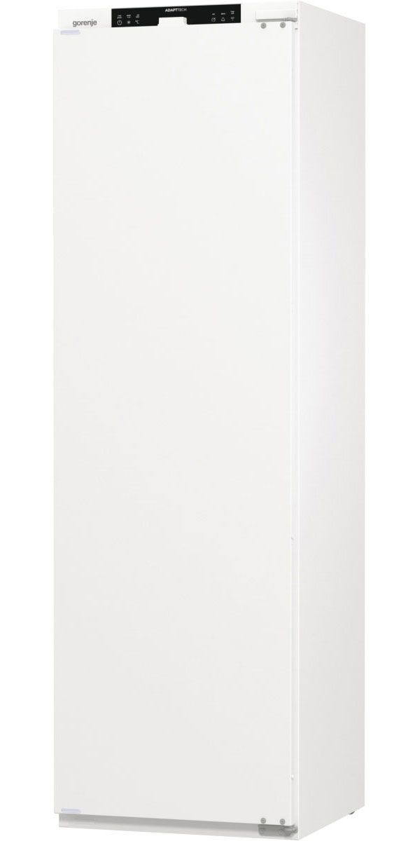 Холодильник встраиваемый Gorenje RI517E41WF в TehnoAdept